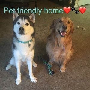 Pet friendly home